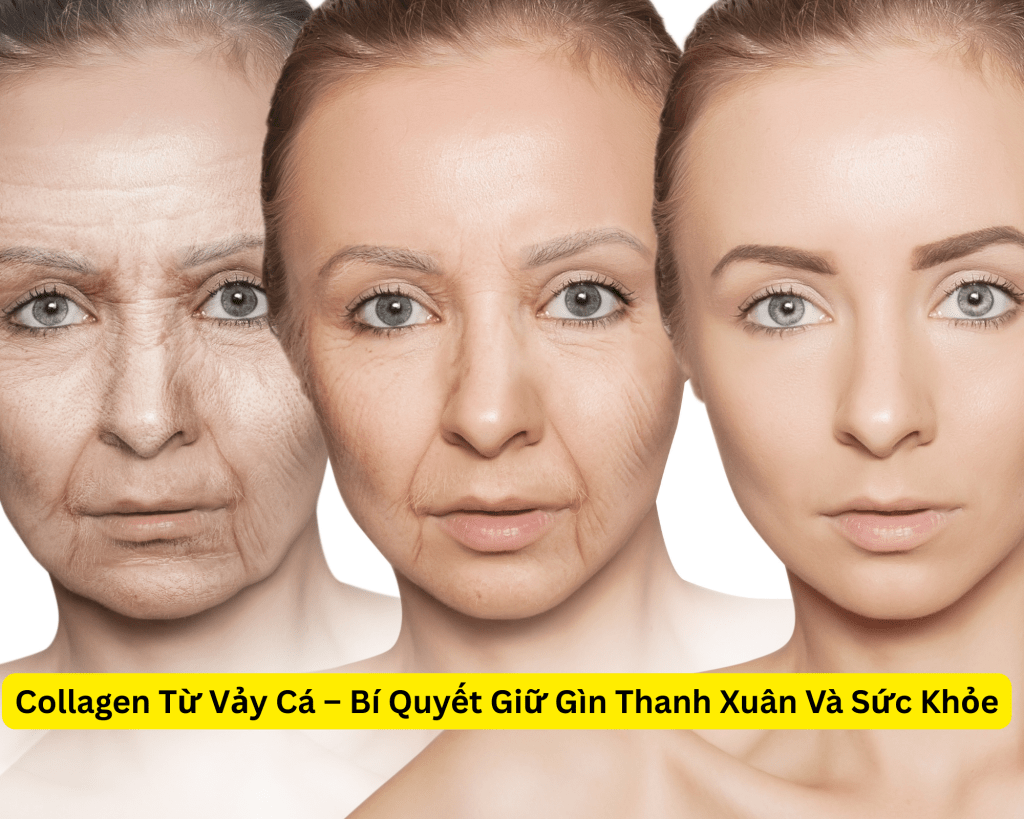 Collagen từ vảy cá – bí quyết nuôi dưỡng làn da căng mịn từ bên trong